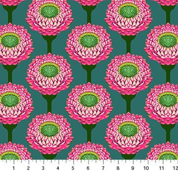 Iconic / Strawflower / Lush / per 25cm
