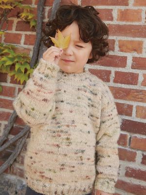 Dave Sweater - Junior / Sandnes Garn Pattern