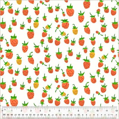 Heather Ross Studio Edit / Strawberries on White / per 25cm