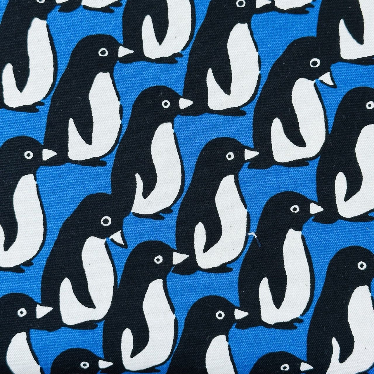 Sevenberry Oxford Cotton / Penguins / per 25cm