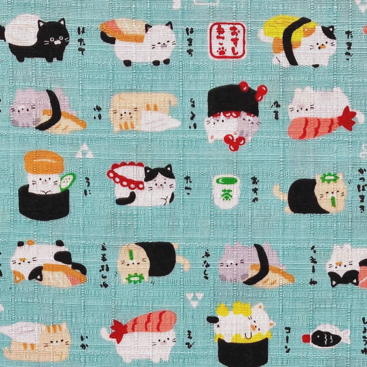 Cotton Dobby / Sushi Cat - Aqua / 25cm