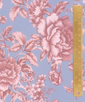 Liberty Tana Lawn x Bridgerton / Regency Trail C / 25cm