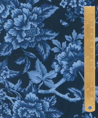 Liberty Tana Lawn x Bridgerton / Regency Trail B / 25cm