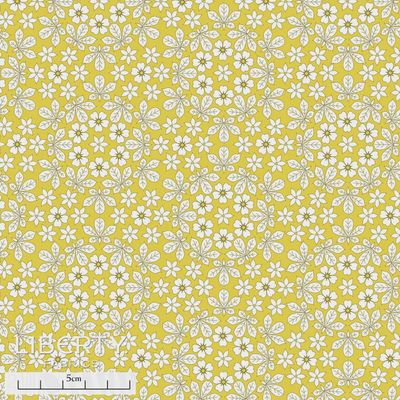 Liberty Tana Lawn - Floral Journey / Godwin X / 25cm