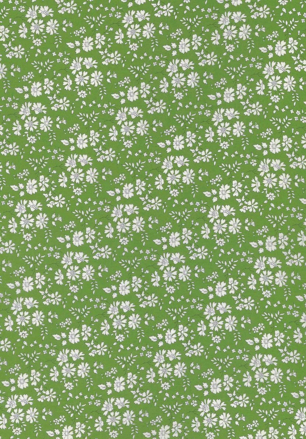 Liberty Tana Lawn Bespoke / Capel Green / 25cm