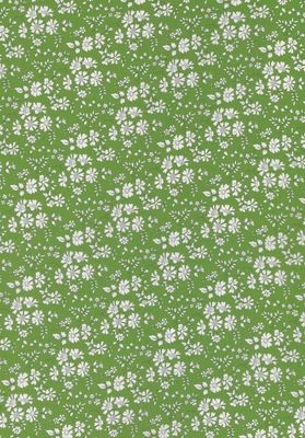 Liberty Tana Lawn Bespoke / Capel Green / 25cm
