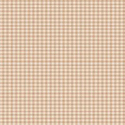 Little Ones / Gingham - Coral / Per 25cm