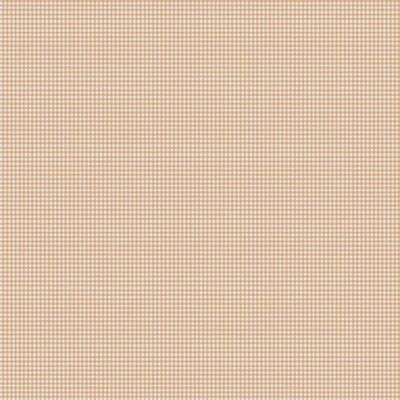 Little Ones / Gingham - Coral / Per 25cm