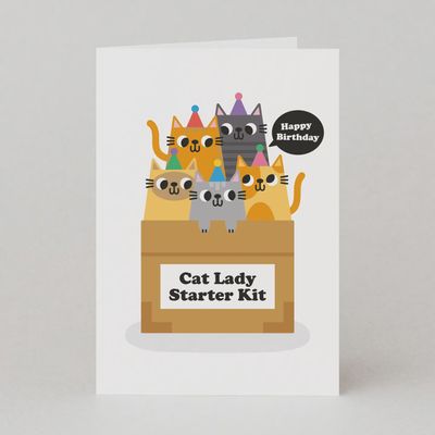 Cat Lady Starter Kit / Birthday Card