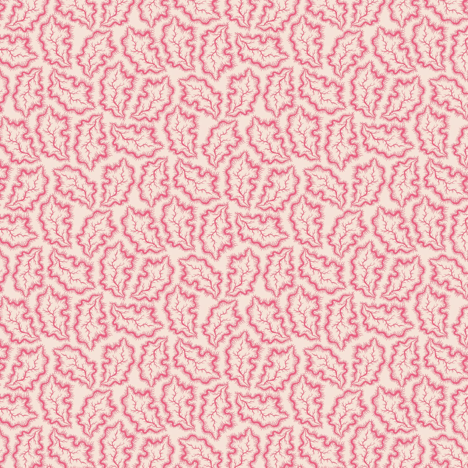 Darling Buds of May / Phebe 1 DV7669 / Per 25cm