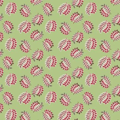 Peasholme Green / Winnifred / Per 25cm