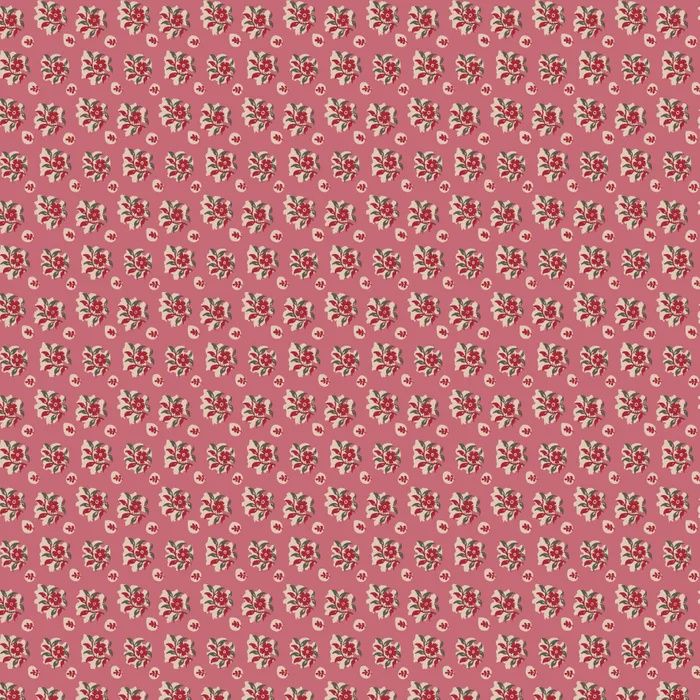 Peasholme Green / Imogen / Per 25cm