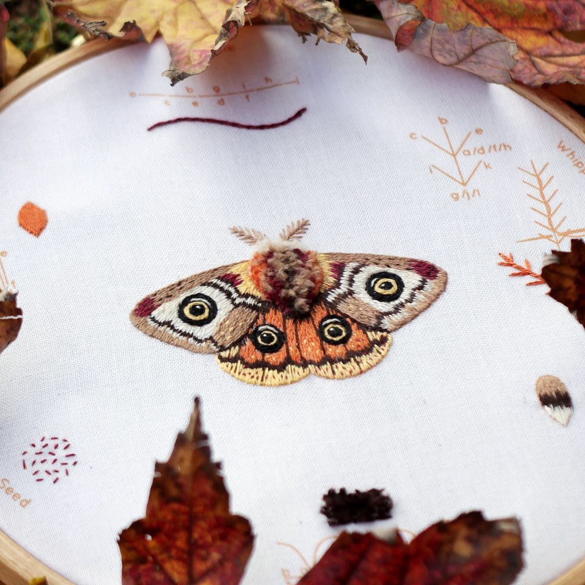 Kiriki Press Embroidery Stitch Sampler / Moth