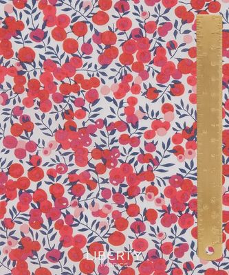 Liberty Tana Lawn / Wiltshire S / 25cm