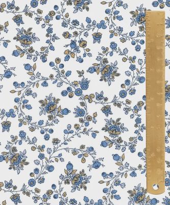 Liberty Tana Lawn - Design Nature Art / Whimsy A / 25cm