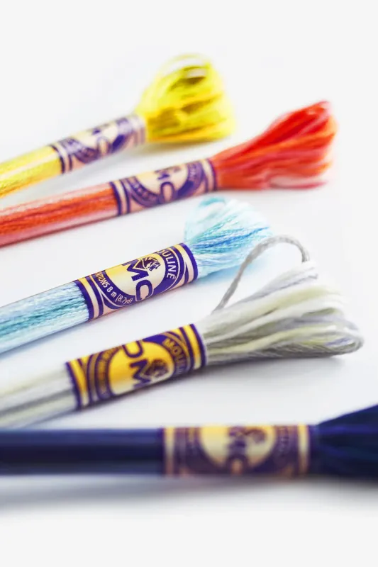 DMC Mouliné Colour Variations Threads