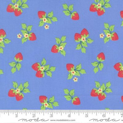 Moda Fruit Salad / Strawberries - Blue / Per 25cm
