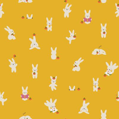 Ruby Star Persimmon / Bun E &amp; Simmy - Dandelion / 25cm