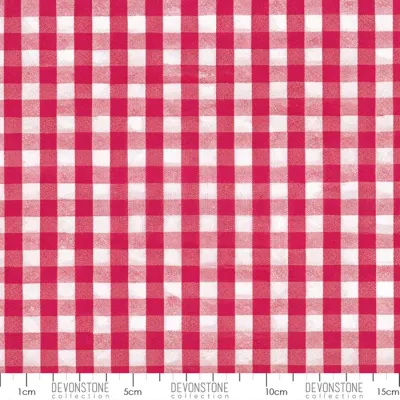 Cotton Gingham / Watermelon / Per 25cm