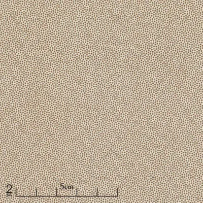 Petra Prins Collection / Pin Dot - Biscuit / Per 25cm
