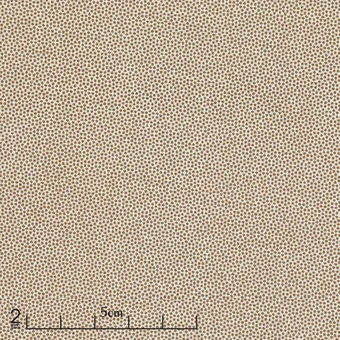 Petra Prins Collection / Pin Dot - Biscuit / Per 25cm