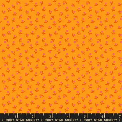 Ruby Star 1-800-Calico / Sprout - Cheddar / 25cm