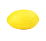 Canary Melon