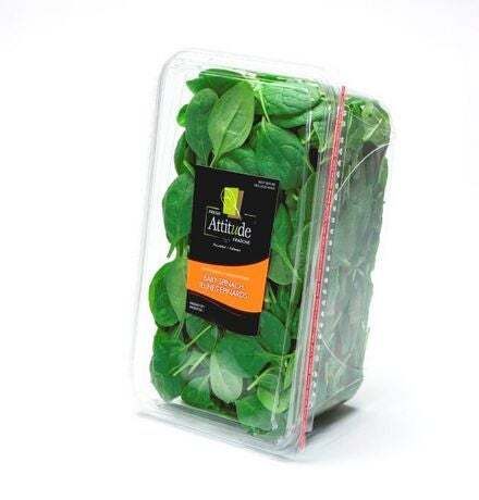 Fresh Baby Spinach 312 gr