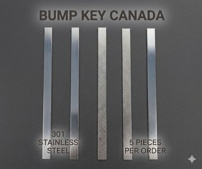 DYI Picks - 301 Stainless Steel Strips - 0.5x10x127mm