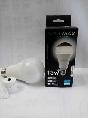 ELÉCTRICOS: Foco de emergencia led recargable 13W