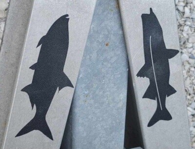 Fish Steps