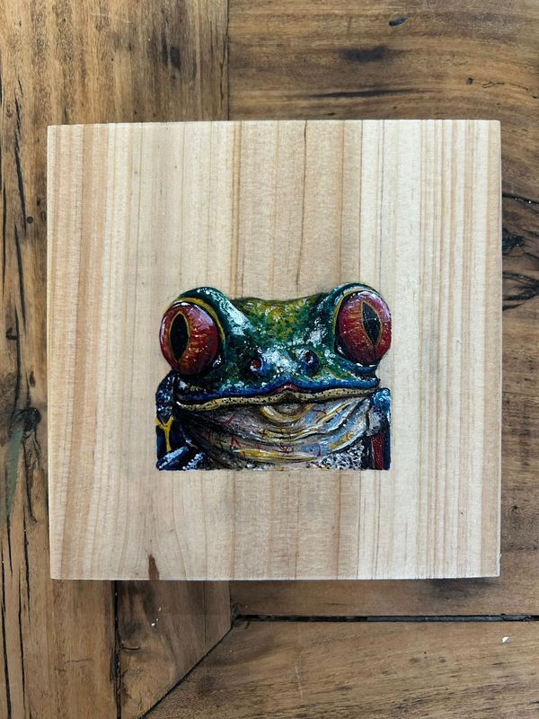 'Rainbow Ribbit'