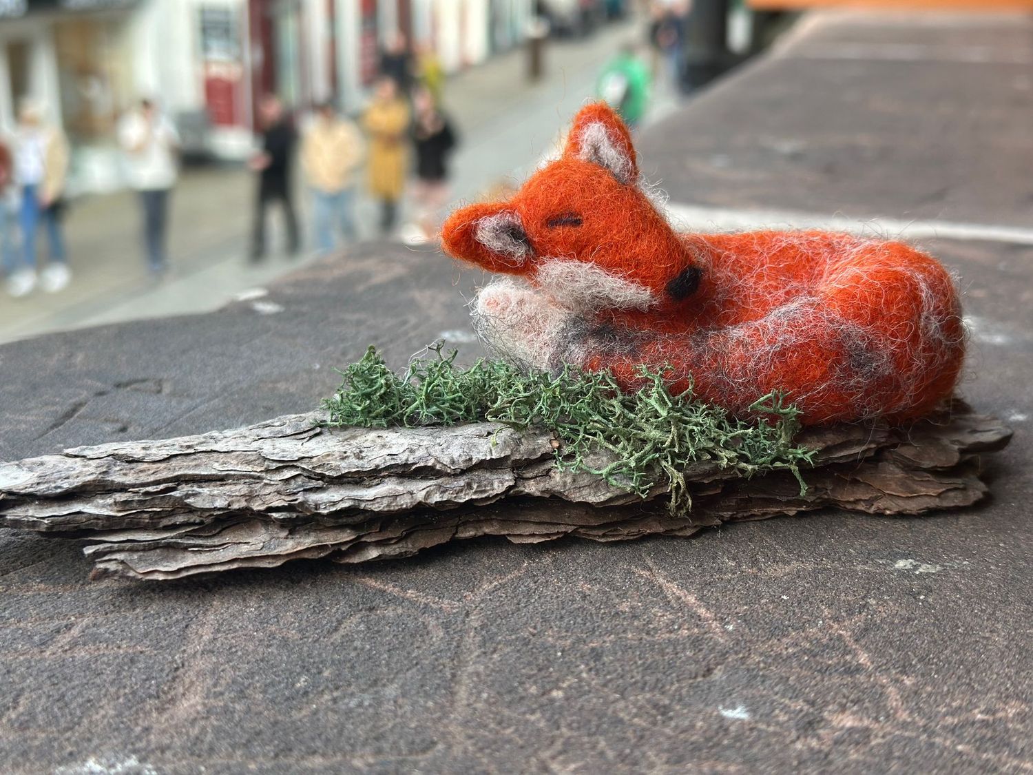 Sleeping Fox