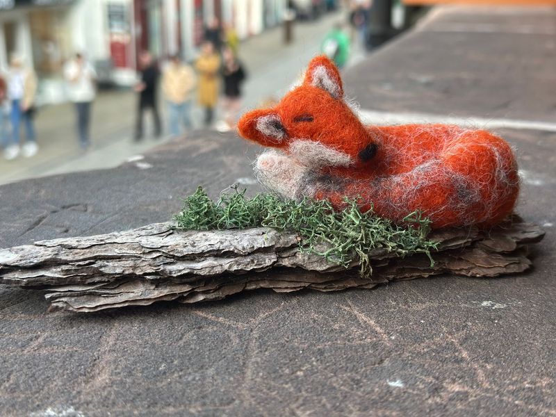 Sleeping Fox