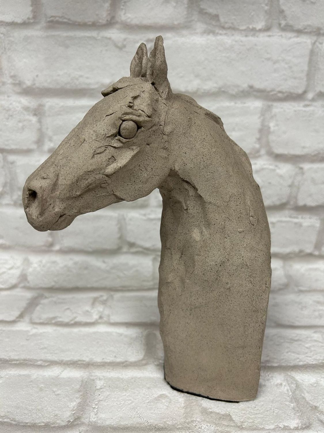 'Horse head'