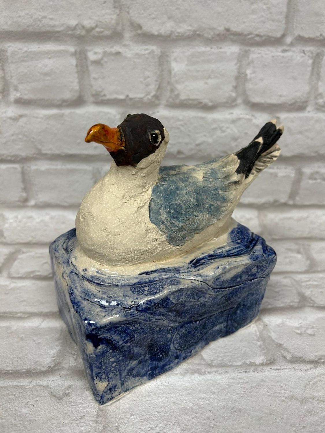 'Black headed Gull'