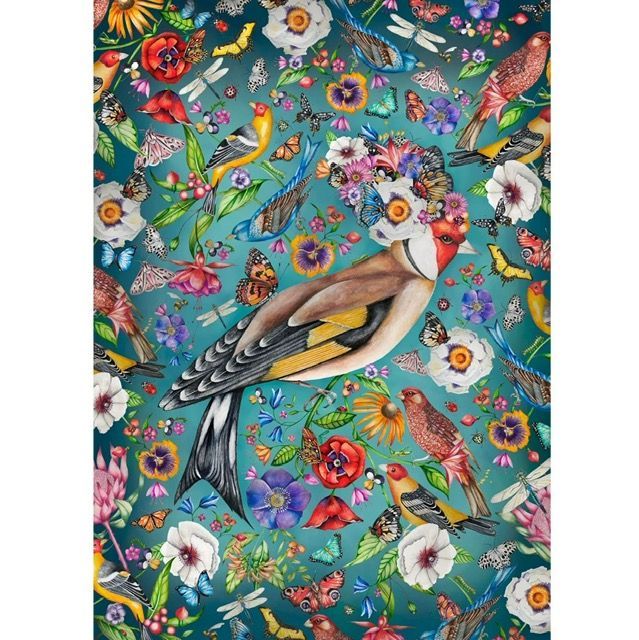 'Butterfinch'
