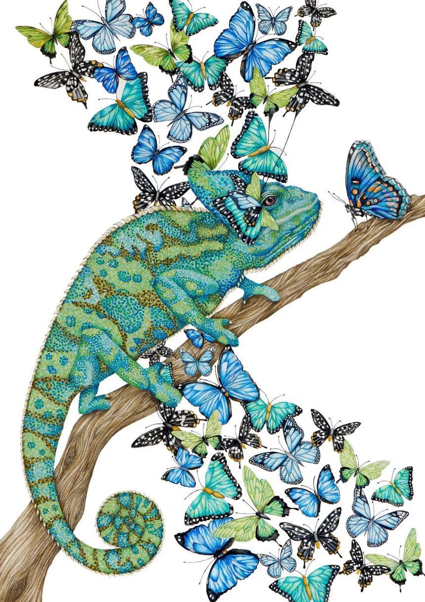 'The Lonely Chameleon' - A2