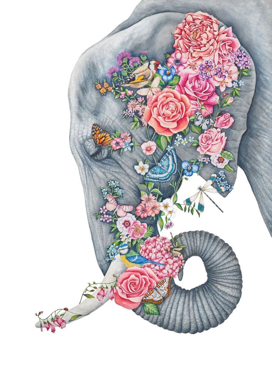 'Forget - Me - Not' - A2