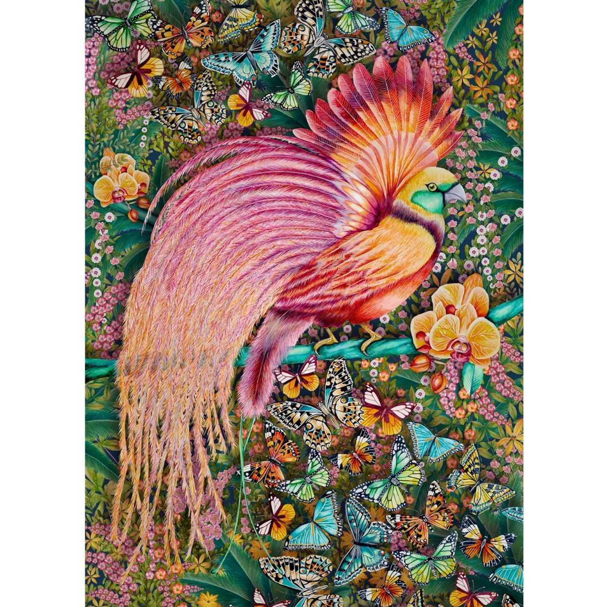 'Paradise' - A2