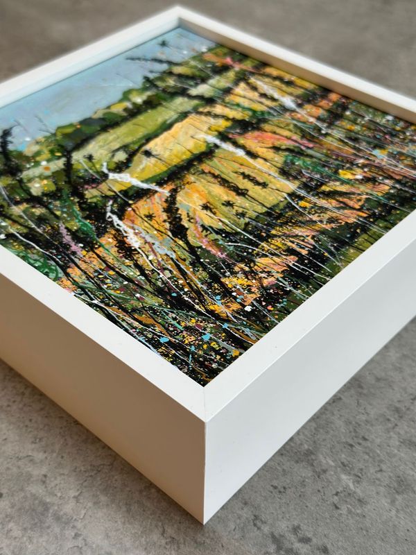 Cheshire Sun' - Cheshire Plains