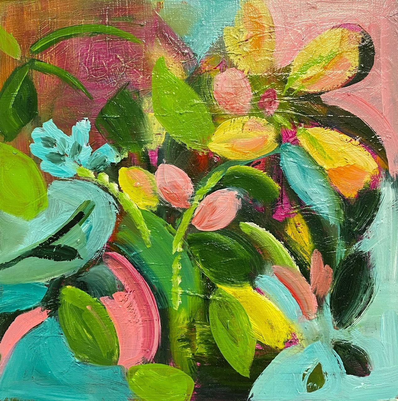 'Soft Bloom Nocturne' 'Soft Bloom Nocturne'