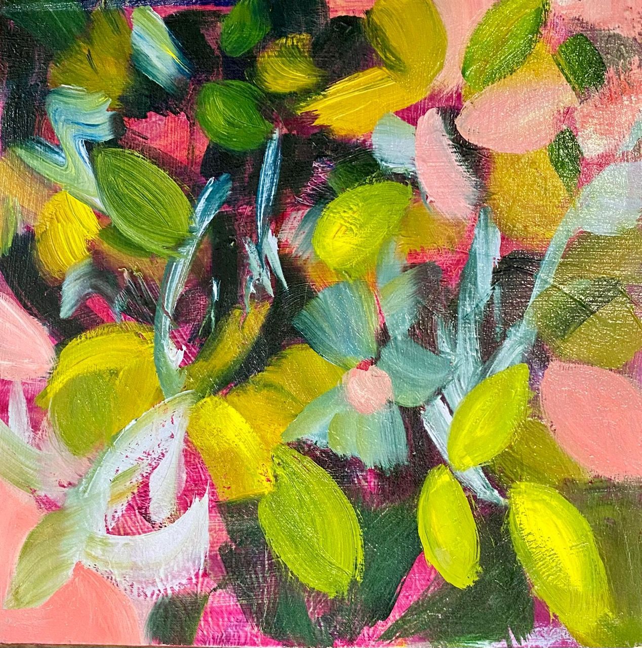 'Spring Whisper' 'Spring Whisper'