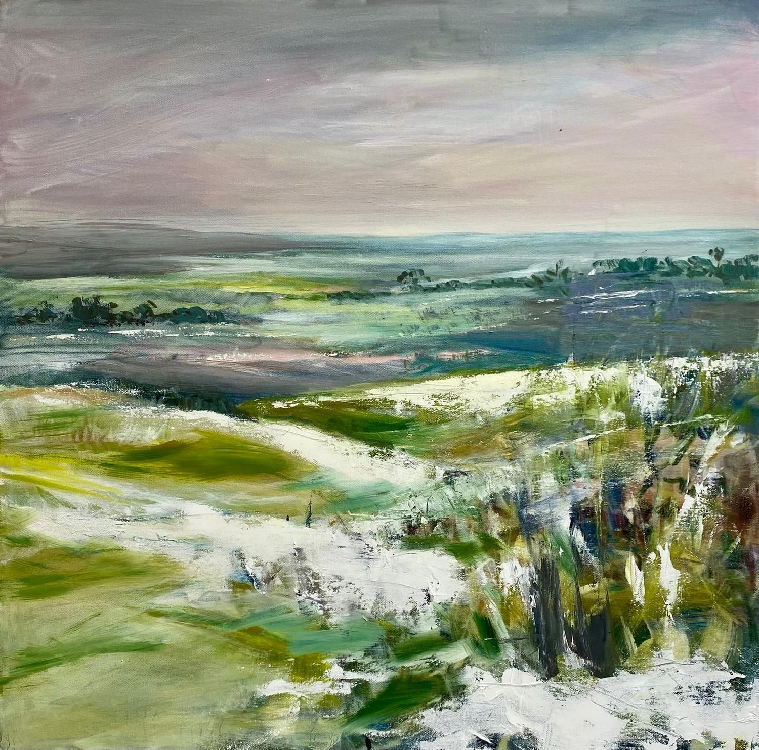 'The last of the snow’