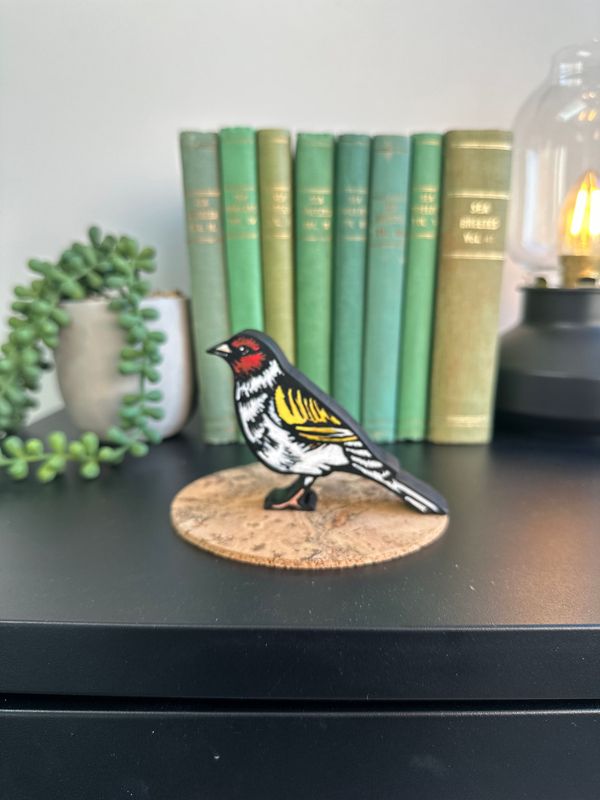 ‘Little Goldfinch’