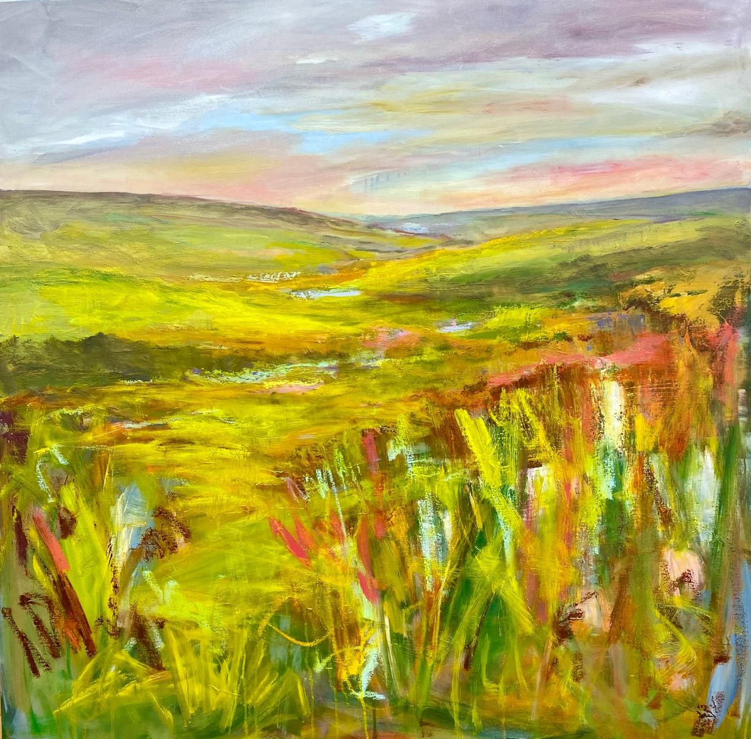 'Endless Evening Light' 'Endless Evening Light'