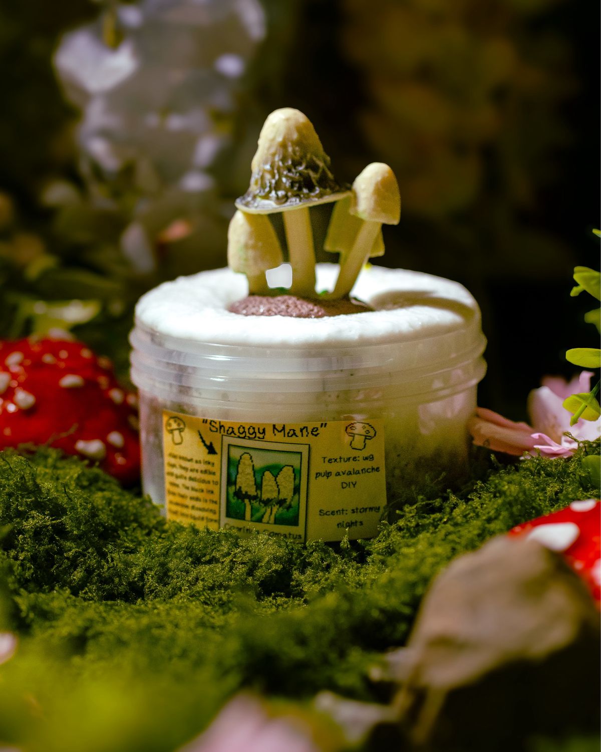 Shaggy Mane Mushroom
