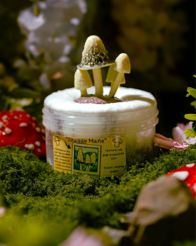 Shaggy Mane Mushroom