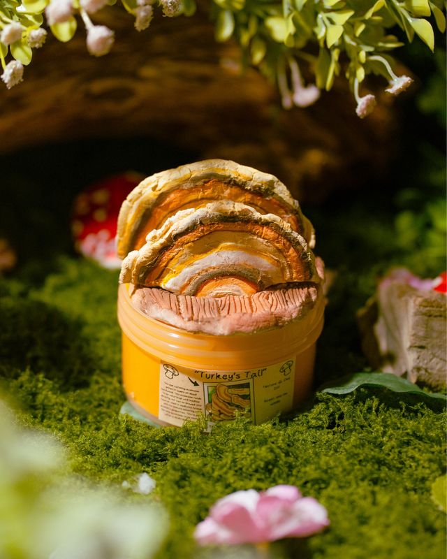 Turkey Tail Mushroom