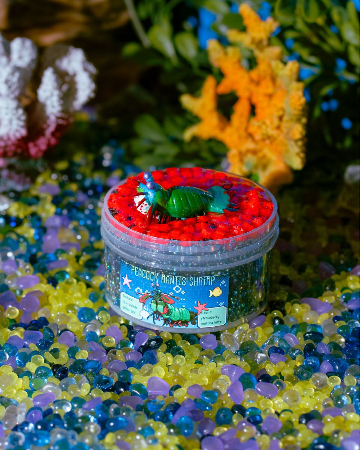 Peacock Mantis Shrimp